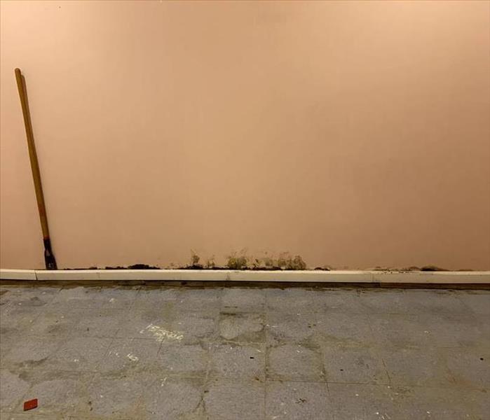 Pink Room with brown water damage along baseboard and bottom of wall.