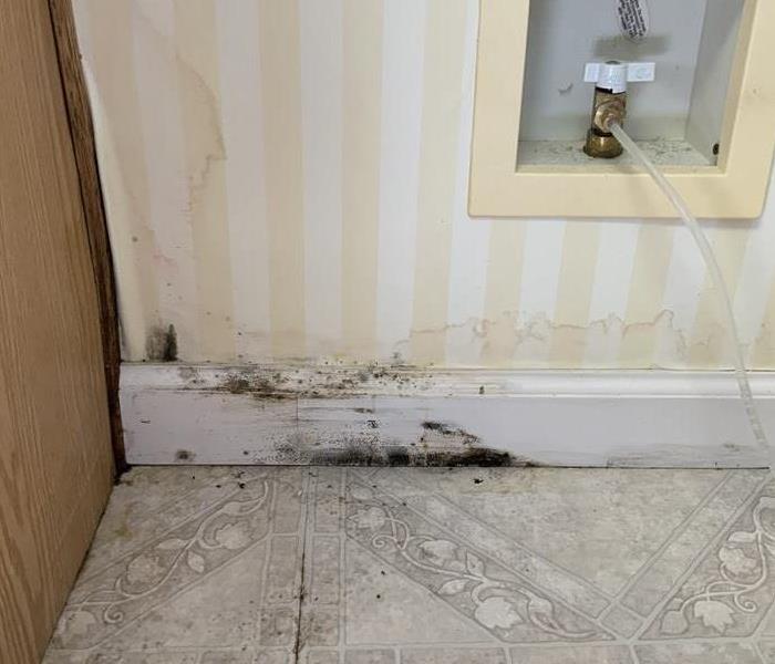 Mold found in a kitchen after water damage occurred